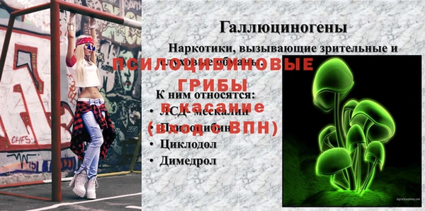 хмурый Баксан