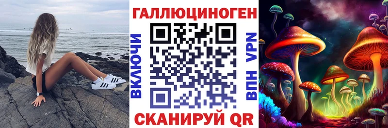 Купить где  Лахденпохья  Псилоцибиновые грибы Cubensis 
